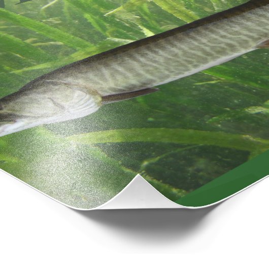 Impression Photo Musky (Coin)