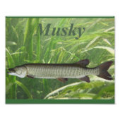 Impression Photo Musky (Devant)
