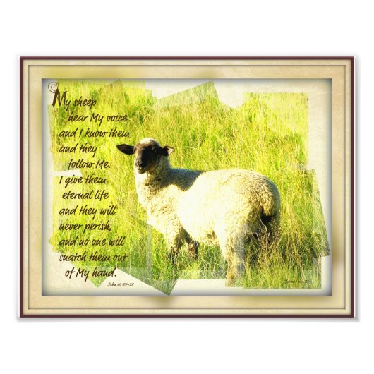 Impression Photo My Sheep Entendre Ma Voix Imprimer 8,5 x 11 (Devant)