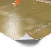 Impression Photo Mystique du Grand Héron Bleu (Coin)