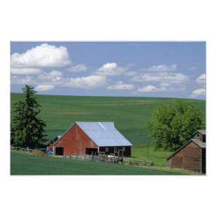 Impression Photo N.A., États-Unis, Idaho, comté de Latah près de Ge