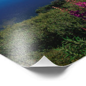 Impression Photo N.A., USA, Alaska, Alaska Range Common (Coin)