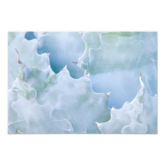 Impression Photo N.A., USA, Arizona, Tucson, Sonora Desert 2 (Devant)