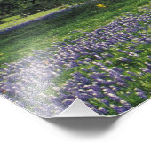 Impression Photo N.A., USA, Texas, Lac Buchanan, Chênes et Bleus (Coin)