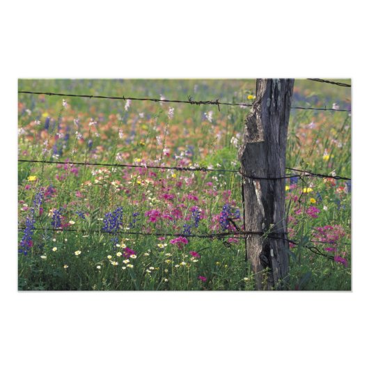 Impression Photo N.A., USA, Texas, Lytle, Fence post et (Devant)