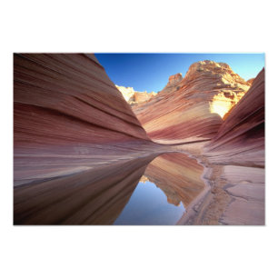 Impression Photo NA, États-Unis, Utah, Vermillion Cliffs. Coyote Bu