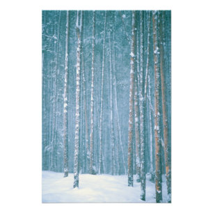 Impression Photo NA, États-Unis, WY. Scène hivernale enneigée parmi