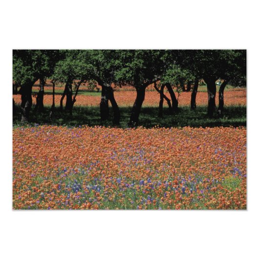 Impression Photo NA, Texas, Texas Hill Country, Buchan Dam, (Devant)