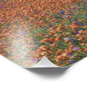 Impression Photo NA, Texas, Texas Hill Country, Buchan Dam, (Coin)