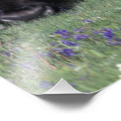 Impression Photo NA, USA, Wyoming, Yellowstone National Park. (Coin)