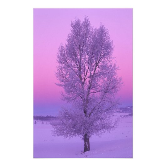 Impression Photo NA, USA, Wyoming, Yellowstone NP, Paysage (Devant)