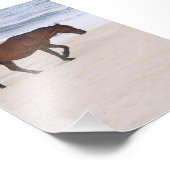 Impression Photo Nag sur la plage, Outer Banks Caroline du Nord (Coin)