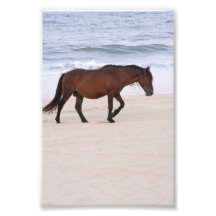 Nag sur la plage, Outer Banks Caroline du Nord