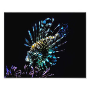 Impression Photo nage de poissons-lionnes