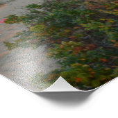 Impression Photo Nantucket (Coin)