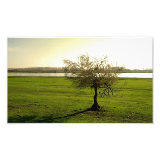 Impression Photo nature