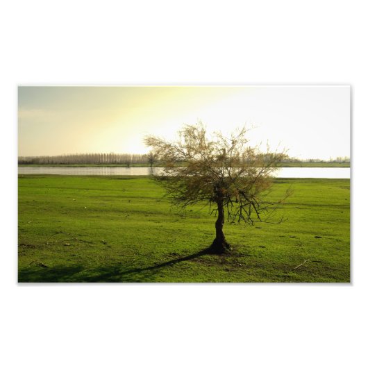 Impression Photo nature (Devant)
