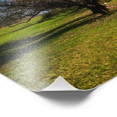 Impression Photo nature (Coin)