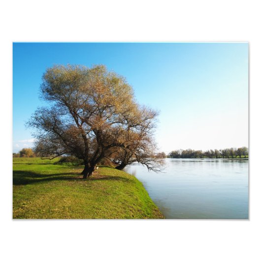Impression Photo nature (Devant)