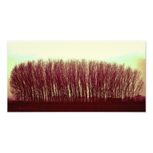 Impression Photo nature (Devant)