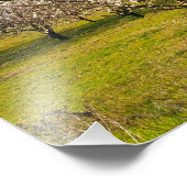 Impression Photo nature (Coin)