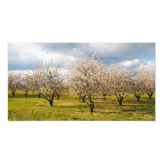 Impression Photo nature (Devant)