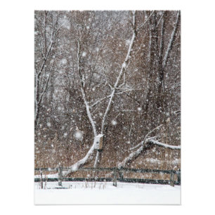 Impression Photo Neige Au Parc