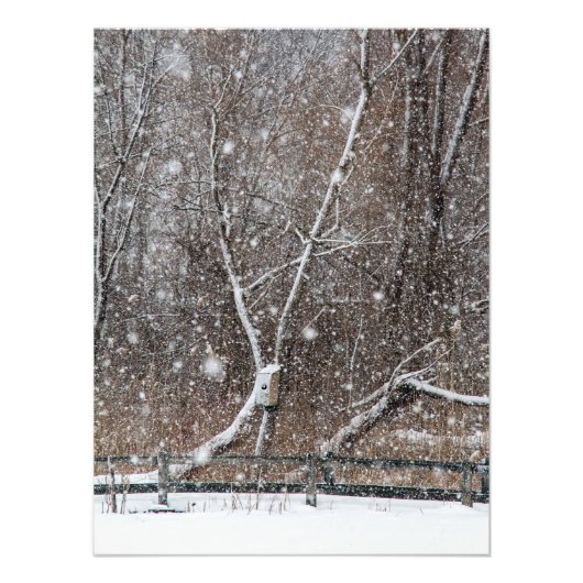 Impression Photo Neige Au Parc (Devant)