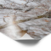 Impression Photo Neige D'Hiver Avec Aigle (Coin)