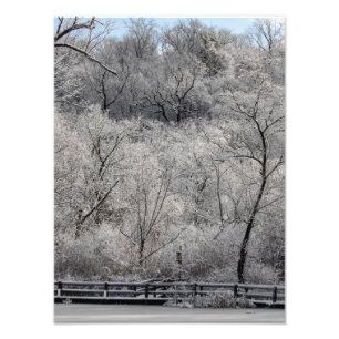 Impression Photo Neige Sur L'Étang