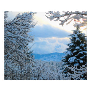Impression Photo Neige sur pins dans les montagnes rocheuses du Col