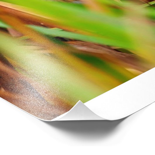 Impression Photo Nelsons Sparrow À Travers Des Cattails (Coin)