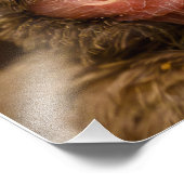 Impression Photo niche de moineau de maison Élargissement de la pho (Coin)