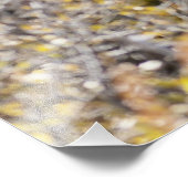 Impression Photo Noble taureau (Coin)