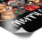 Impression Photo Noël Kitty Chats Joyeux Catmas (Coin)