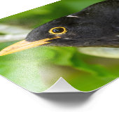 Impression Photo Noir (Coin)