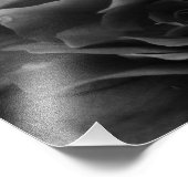 Impression Photo Noir et blanc Gros plan d'une double Begonia (Coin)