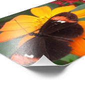 Impression Photo noir et orange (Coin)