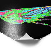 Impression photo (noir) - Psylle du chêne (Coin)