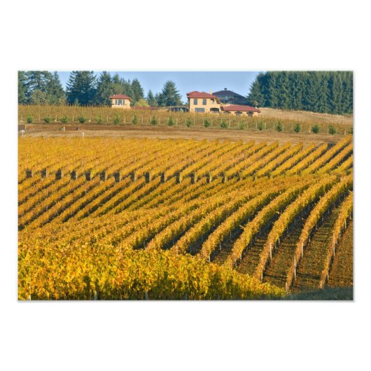 Impression Photo Noir Walnut Inn, d'apparence toscane, au-dessus du (Devant)