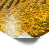 Impression Photo Noir Walnut Inn, d'apparence toscane, au-dessus du (Coin)