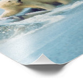 Impression Photo North Slope, Alaska. Ours polaires Ursus (Coin)