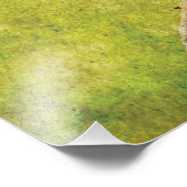 Impression Photo Northern Cardinal Wall Art Print  (Coin)