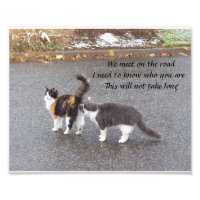 Nous nous rencontrons sur la route Haiku