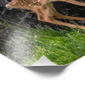 Impression Photo Nouveau-né (Coin)