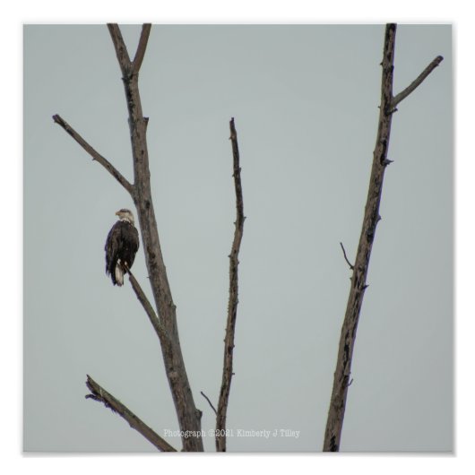 Impression Photo novembre (Devant)