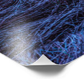 Impression Photo Nuit des marais (Coin)