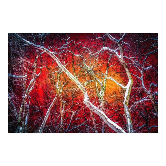 Impression Photo Nuit d'hiver rouge (Devant)