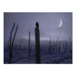 Impression Photo Nuit Mystique Bleue Du Corbeau