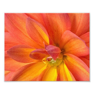 Impression Photo NYC en fleurs